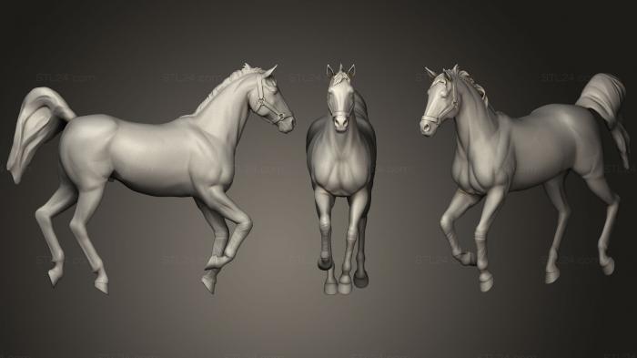 Статуэтки животных (Лошадь 0293, STKJ_1068) 3D модель для ЧПУ станка